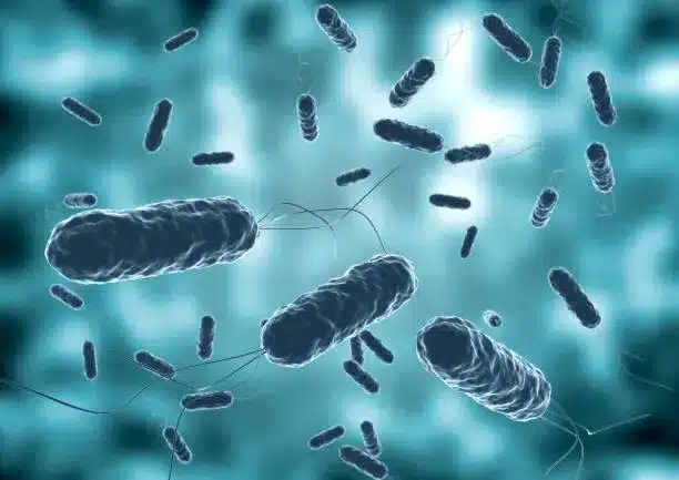 Cholera