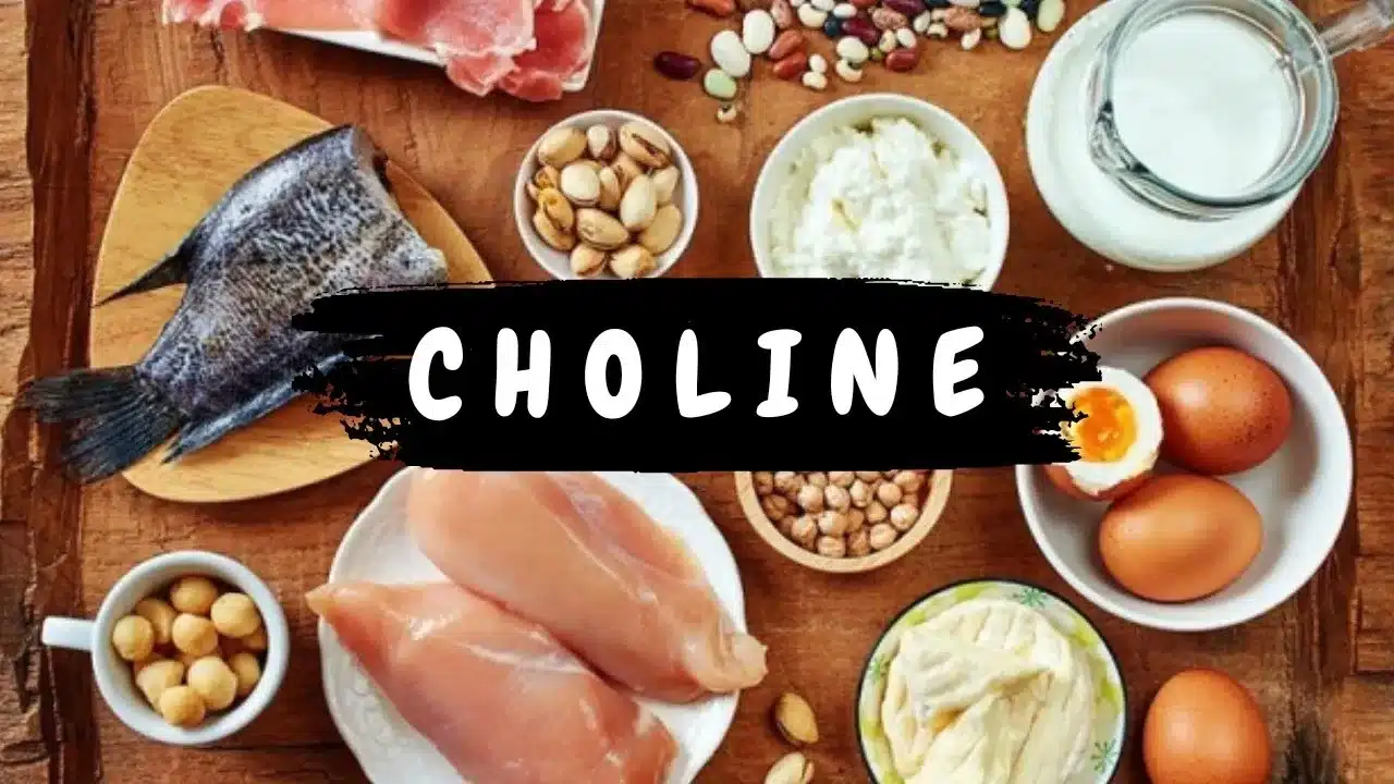 What is Choline?