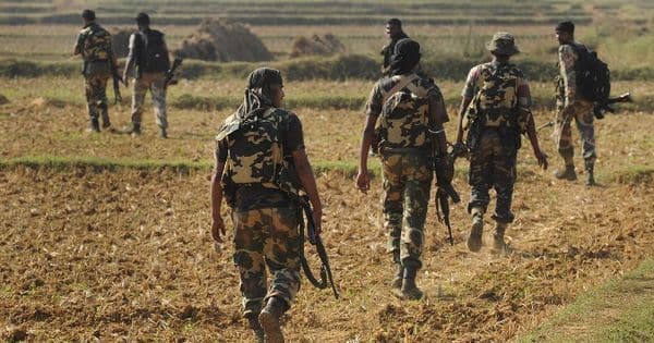 What is Commando Battalion for Resolute Action (CoBRA)?
