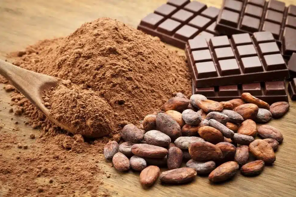 Cocoa Production