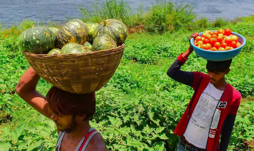What is the Consumer Food Price Index (CFPI)?
