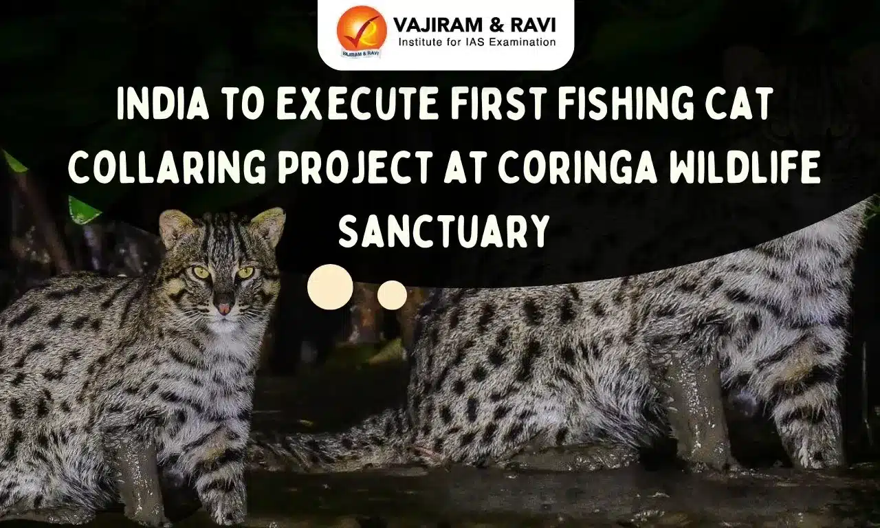 Coringa Wildlife Sanctuary