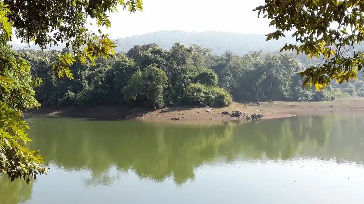Dalma Wildlife Sanctuary