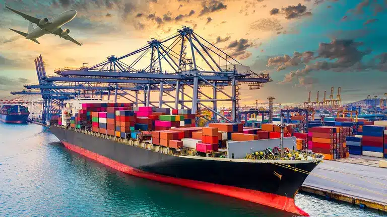 What is the Developing Countries Trading Scheme (DCTS)?
