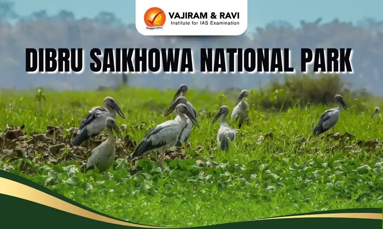 Dibru Saikhowa National Park