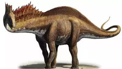 Dicraeosaurid Dinosaur
