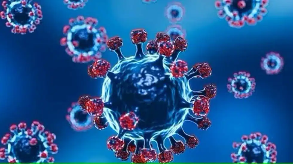 What is Disease X?