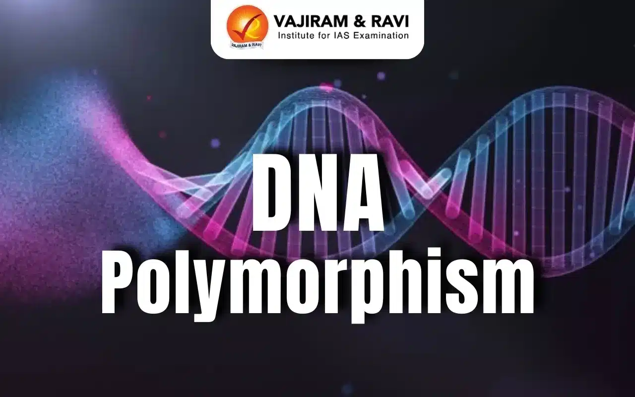 DNA Polymorphism