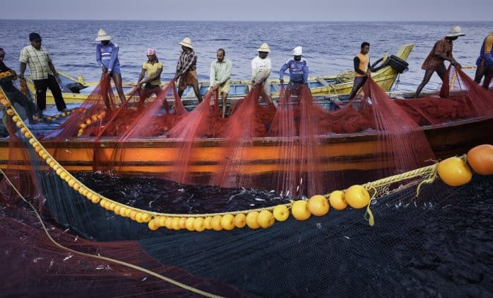 Draft Guidelines for Regulation of Fishing