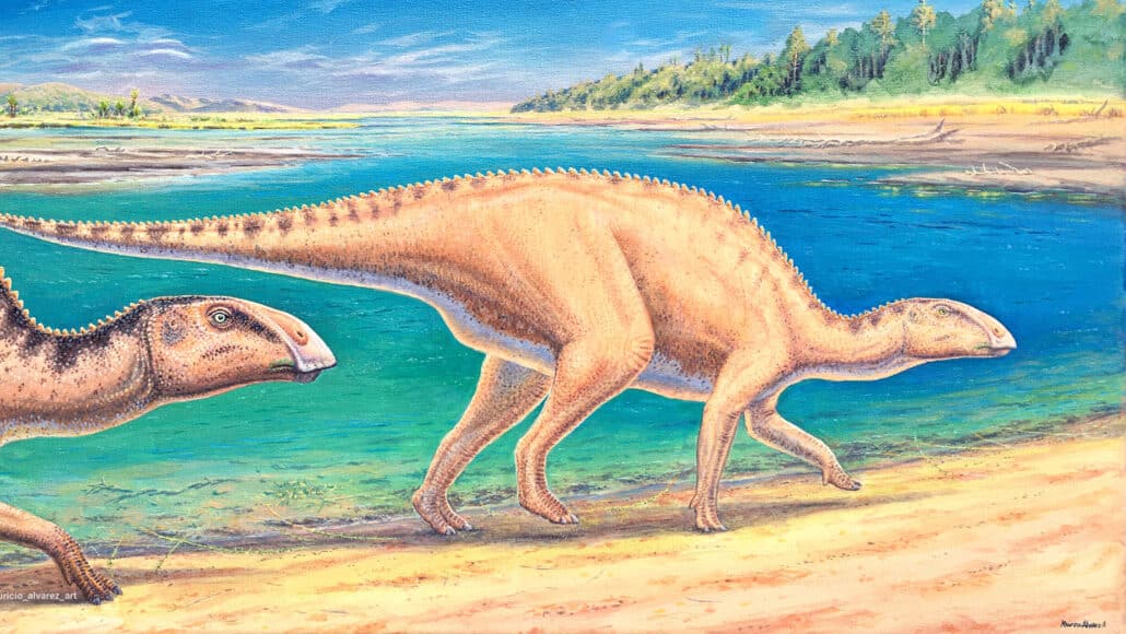 Duck-billed dinosaur