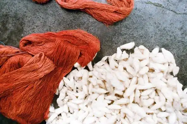 Eri Silk