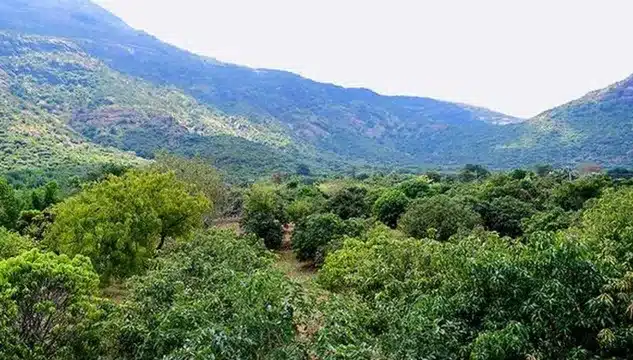 Forest (Conservation) Act and SC Judgement