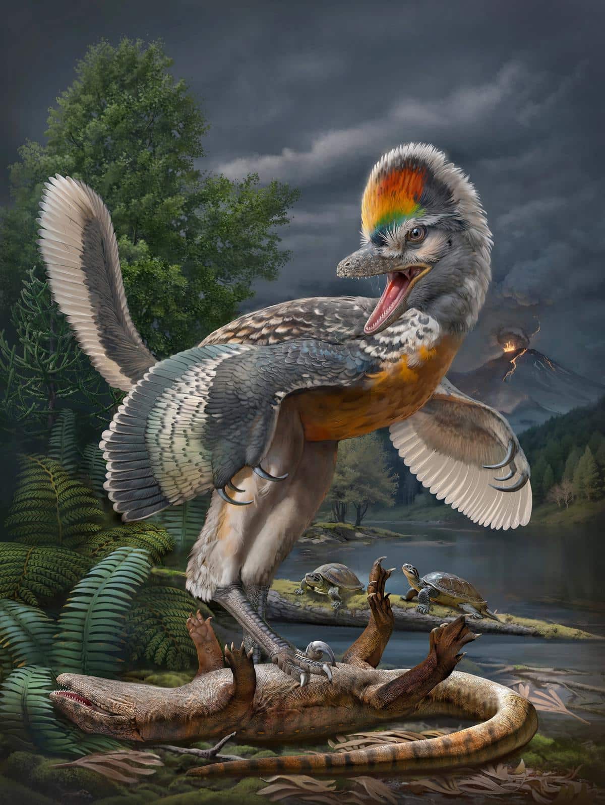 Fujianvenator prodigiosus