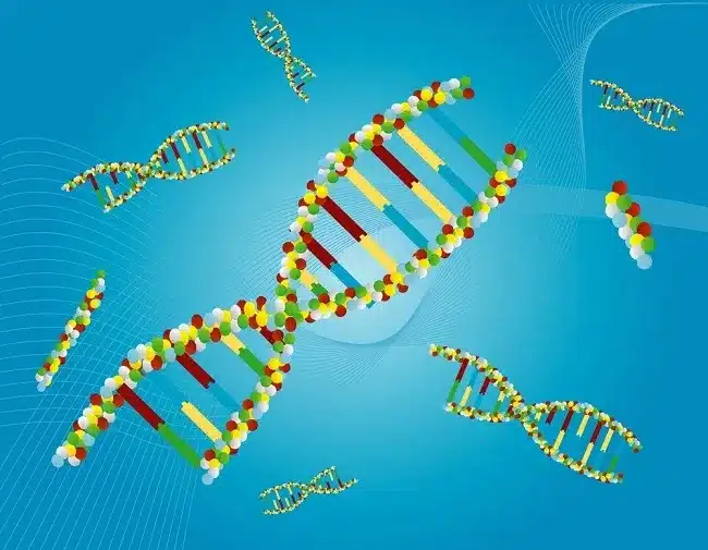 What is Genetic Drift?