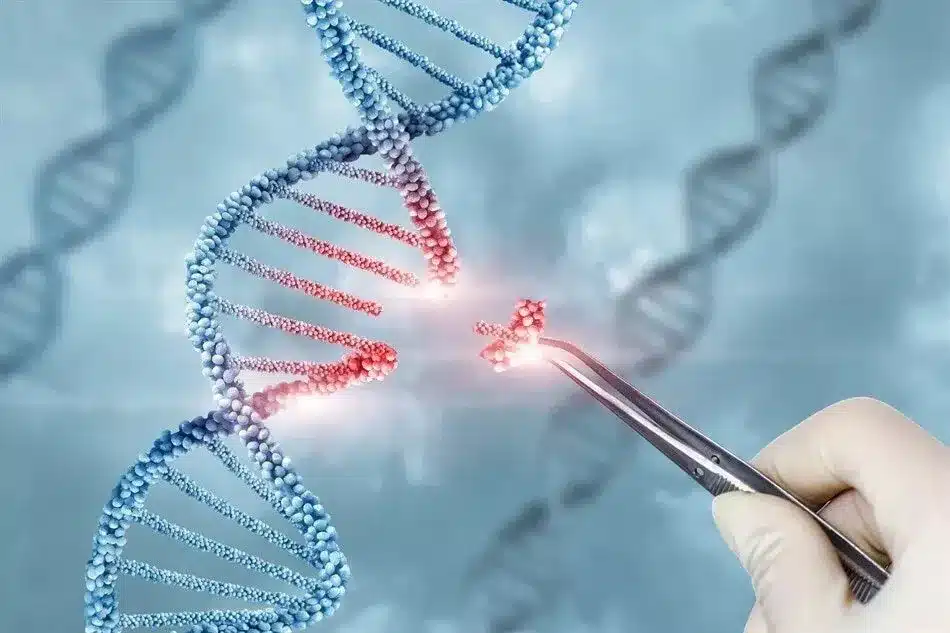 Genome Editing- ISDra2TnpB