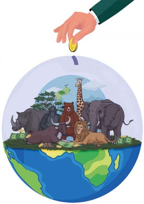 Global Biodiversity Framework Fund