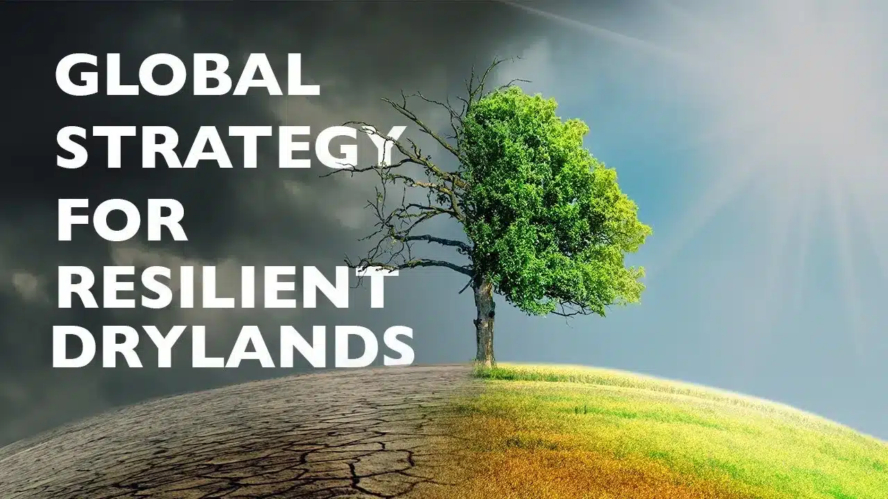 Global Strategy for Resilient Drylands