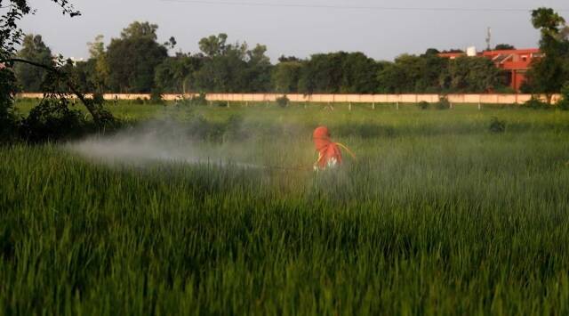 Govt to Utilise PACS as ‘Drone Entrepreneurs’ for Spraying Fertilisers