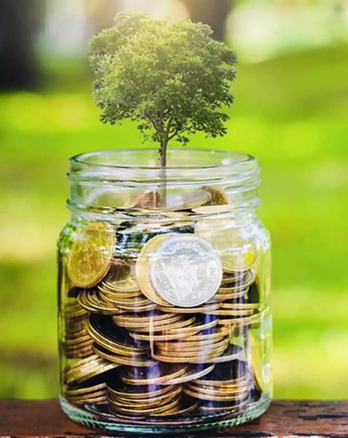 Green Climate Fund