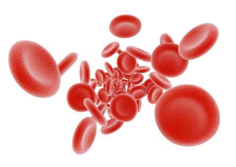 What is Haemoglobin (Hb)?