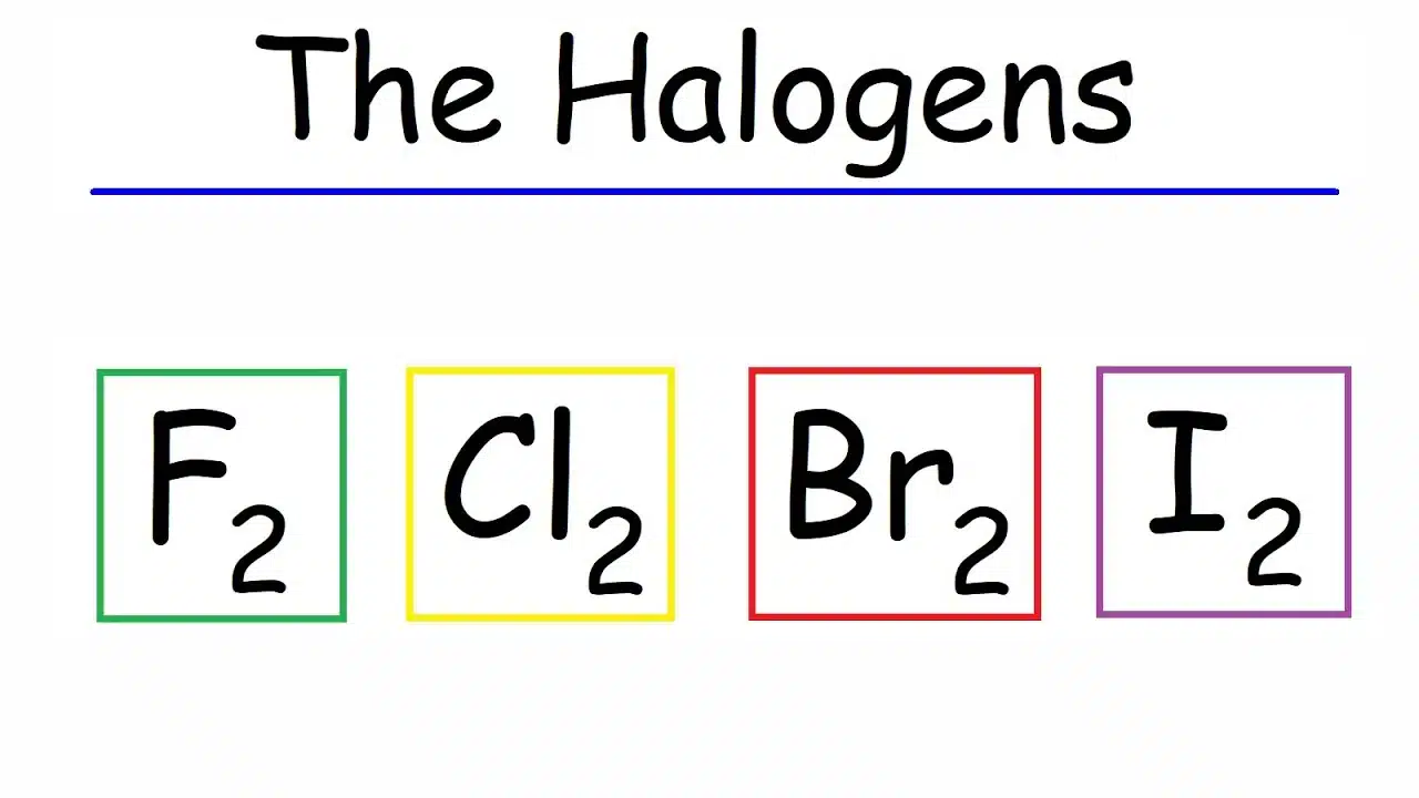 What are Halogens?