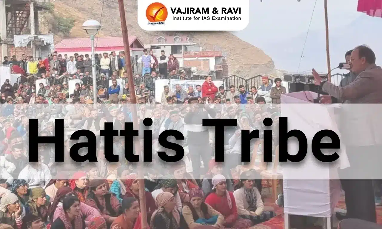 Who are Hattis?