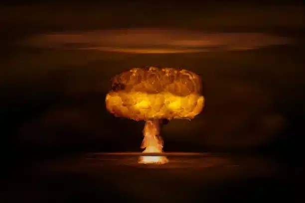 Who are the Hibakusha?