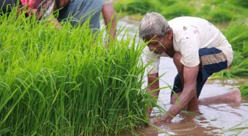 Hike in MSP for kharif crops