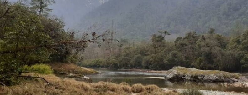 Idu Mishmis and Proposed Tiger Reserve in Arunachal Pradesh