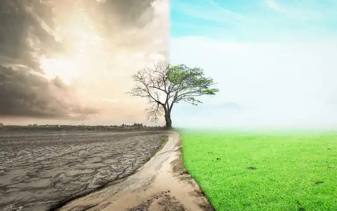 The Evolution and Essentials of India’s Climate Policy