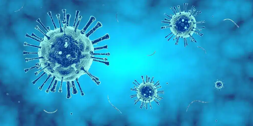 What is the Integrated Disease Surveillance Programme (IDSP)?