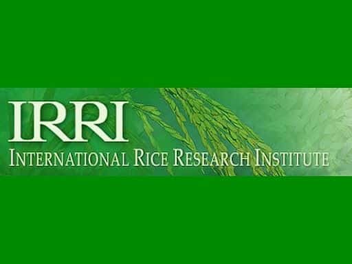 International Rice Research Institute