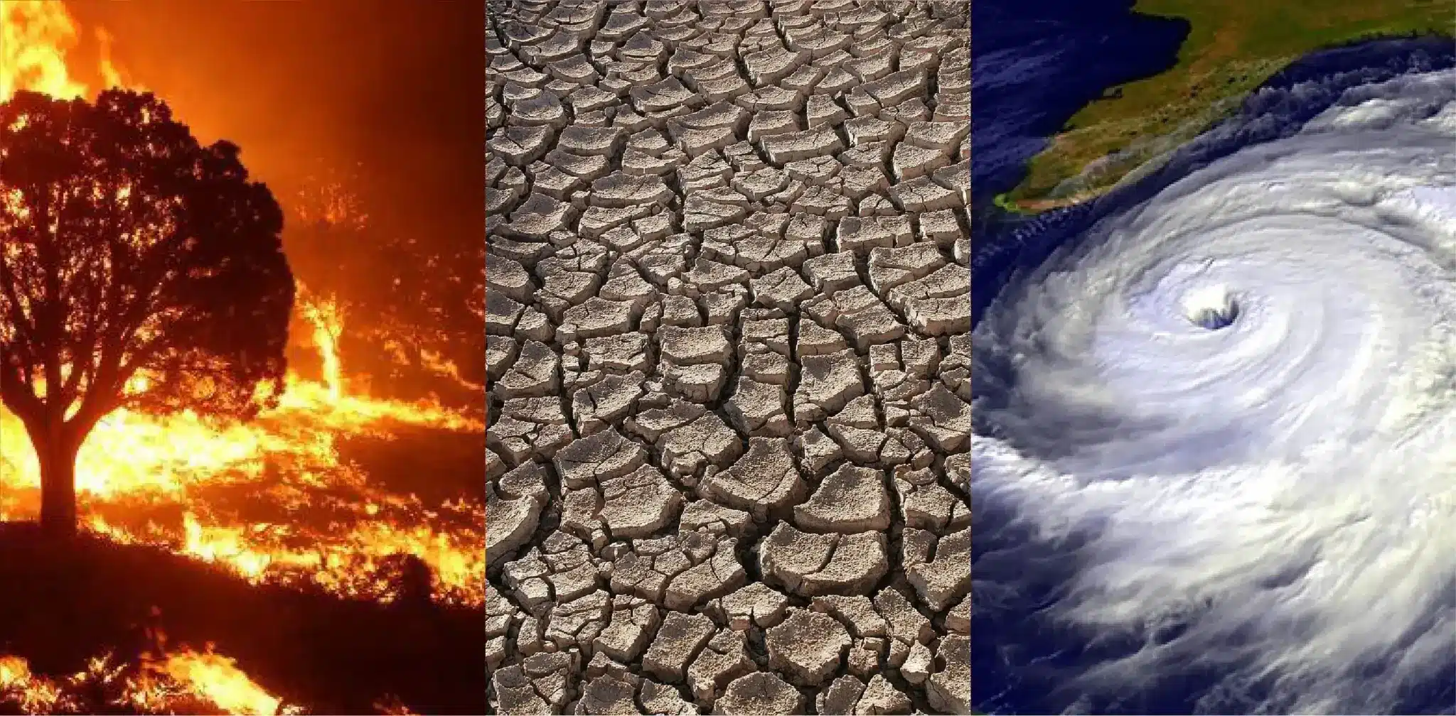 What are IPCC’s Assessment Reports