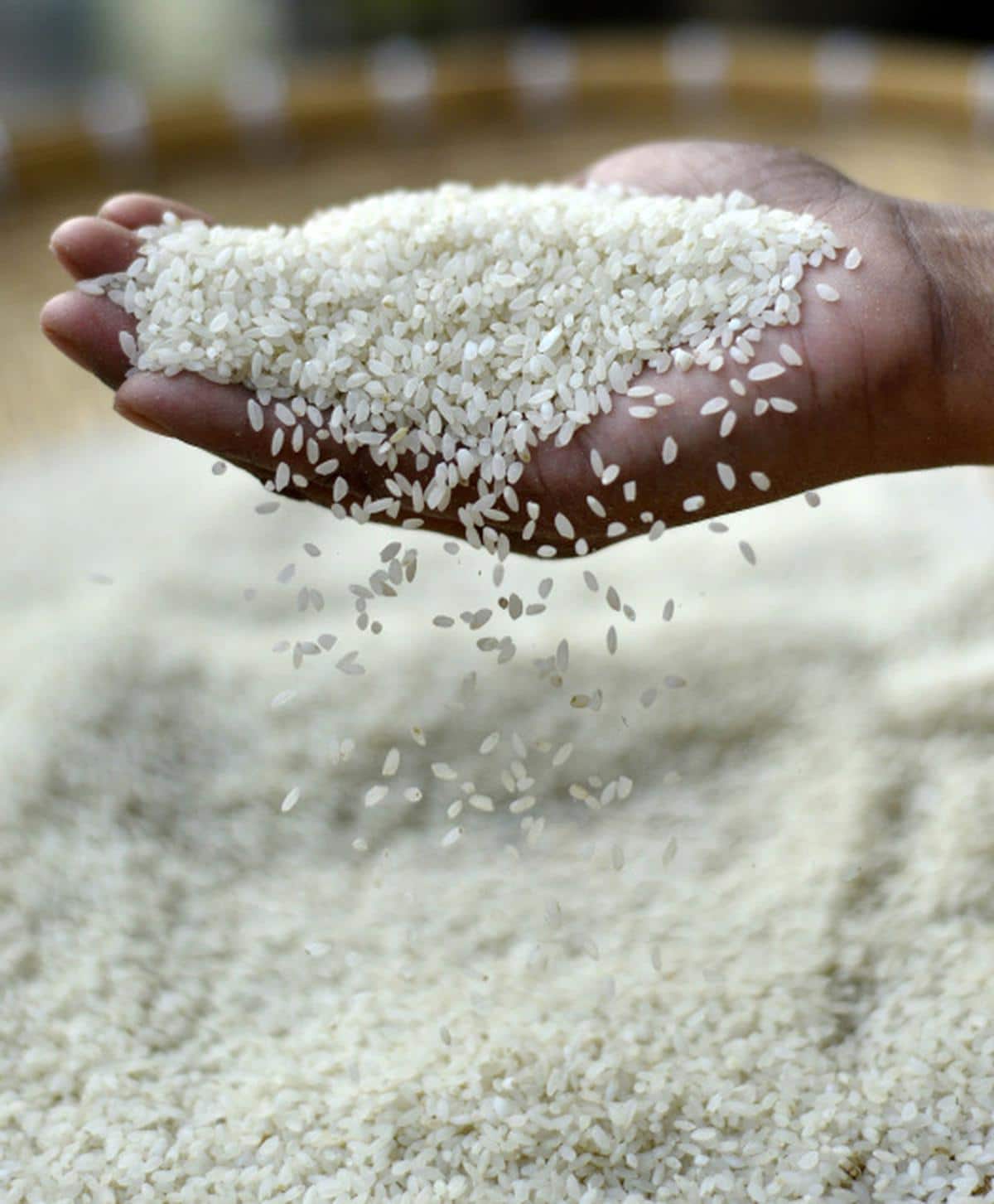 Joha Rice