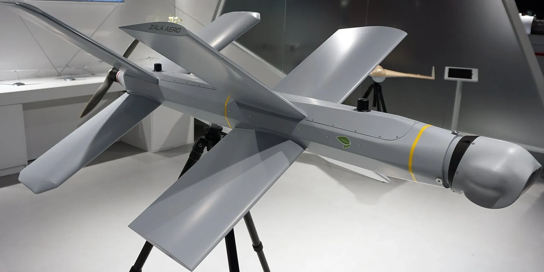 Kamikaze drone