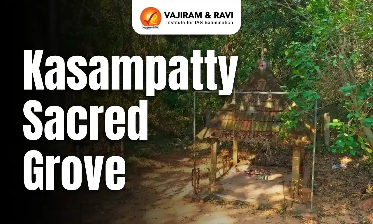 Kasampatty Sacred Grove