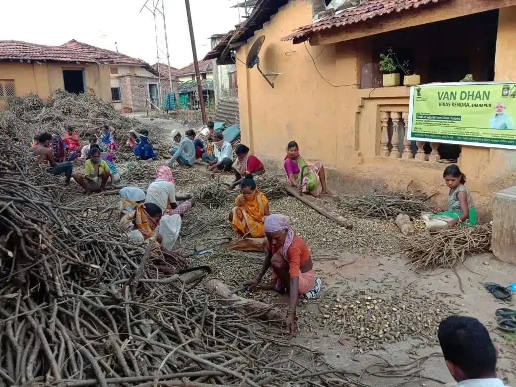 Key Facts about Katkari Tribe