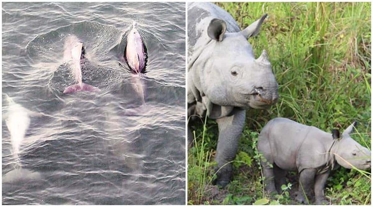 Keoladeo National Park: Rajasthan plans zoo inside Bharatpur Sanctuary