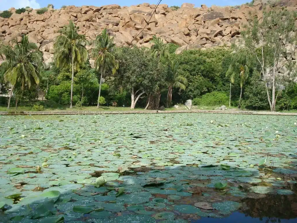 Key Facts about Pampa Lake