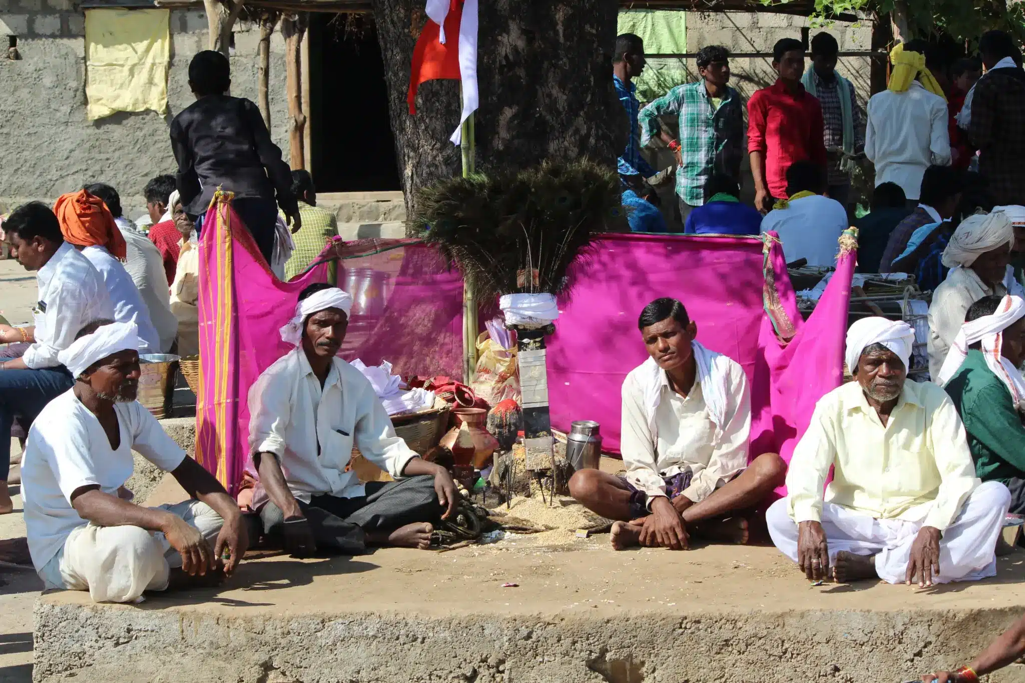 Kolam Tribes