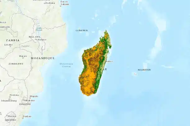 Key Facts about Madagascar