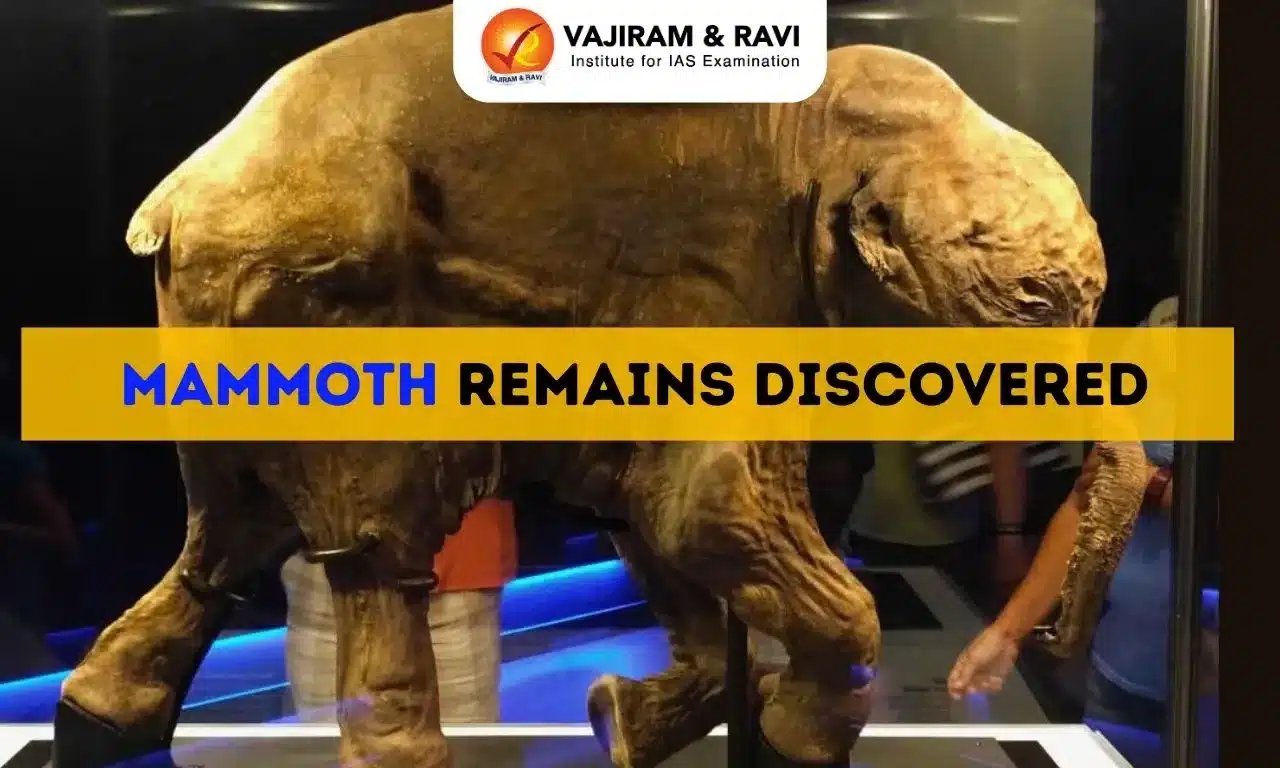 Mammoth