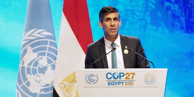 Mangroves as Carbon Sink: India Joins Five-Nation Alliance at COP27