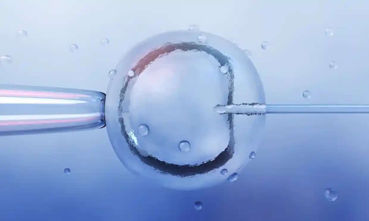 Mitochondrial Replacement Therapy