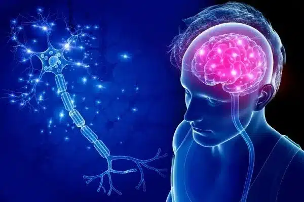 What are Motor Neuron Diseases (MNDs)?