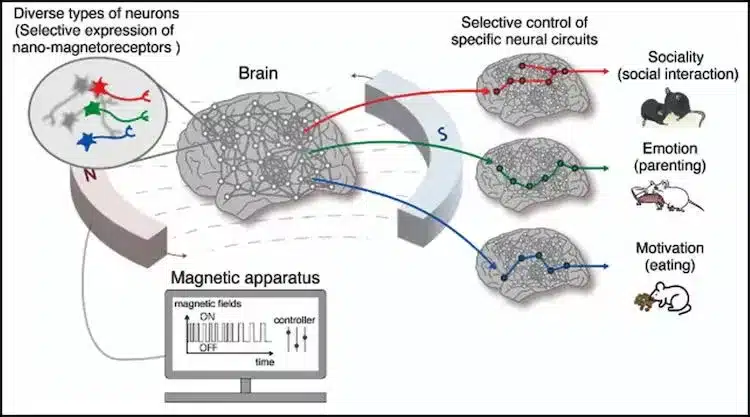 What is Nano-MIND Technology?