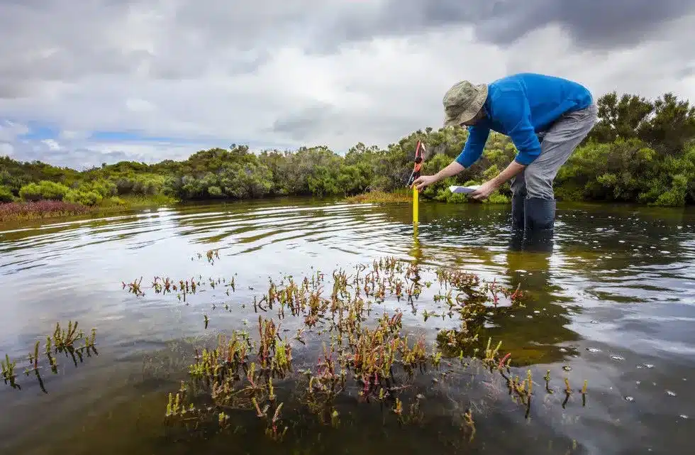 National Biodiversity Strategy and Action Plans Tracker
