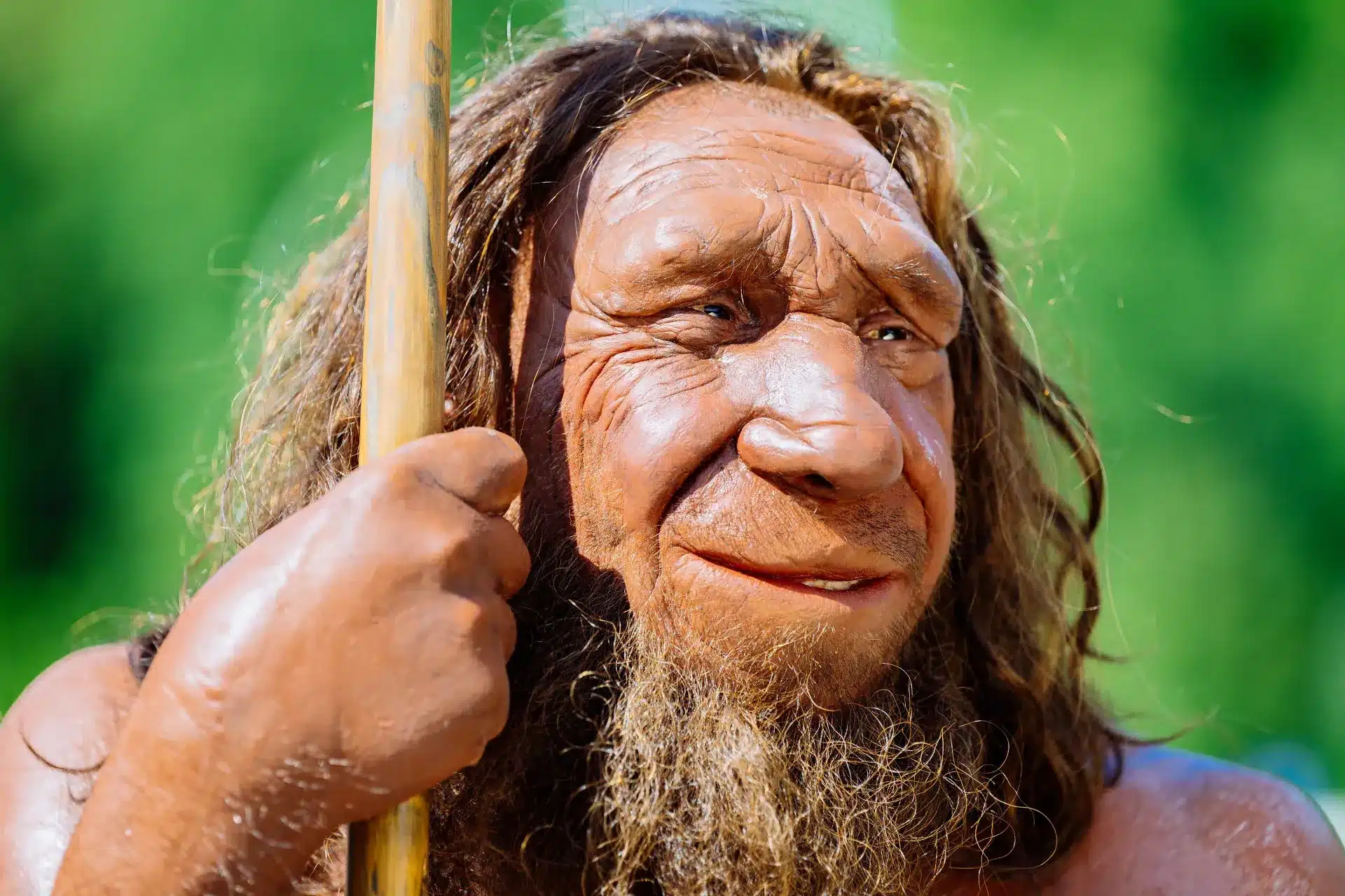 Key Facts about Neanderthals