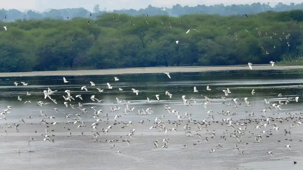New Ramsar site