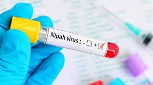 What is Nipah Virus?
